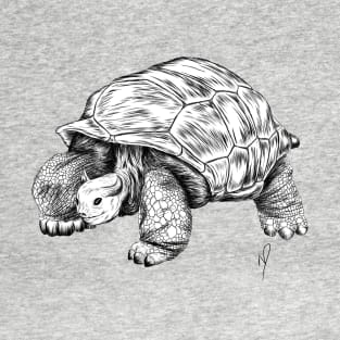 Bull Tortoise T-Shirt